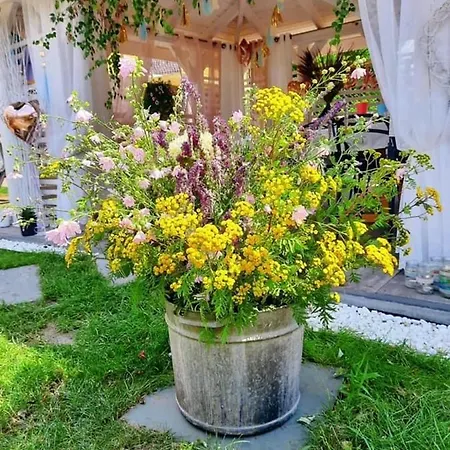 Hotelowe Siedlczanka *